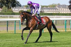 Continuous, hier vor dem Prix du Jockey-Club in Chantilly. www.galoppfoto.de - Sandra Scherning