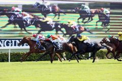 Der Sieger in der Hong Kong Vase heißt Red Cadeaux mit Gerald Mosse im Sattel. www.galoppfoto.de - Frank Sorge