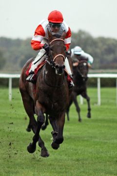 Der Soldier Hollow-Sohn Pastorius mit Terence Hellier gewinnt das Zweijährigen-Rennen in Baden-Baden. www.galoppfoto.de