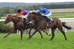 Desert Hero gewinnt den Farben des Königspaares. Foto: Racenews/Goodwood