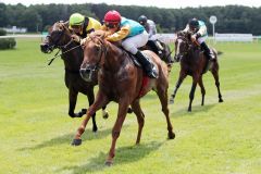 Auf Dauer in besserer Klasse zuhause: Der Röttgener Diakrid gewinnt sicher. www.galoppfoto.de - Dennis Kaczmarek