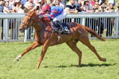 Diamond Vega ist mit Laura Pearson vor zwei französischen Gaststuten die leichte Siegerin im im Wackenhut Mercedes Benz Fillies Cup. ©galoppfoto - Sabine Brose 