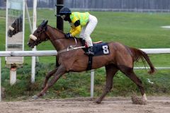 Die Lateral-Tochter Helga gewinnt mit Sabrina Wandt in Dortmund. www.klatuso.com - Klaus-Jörg Tuchel