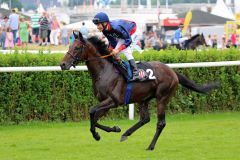 Diplomat beim Aufgalopp mit Adrie de Vries am 05.07.2015 in Hamburg. Foto: Dr. Jens Fuchs