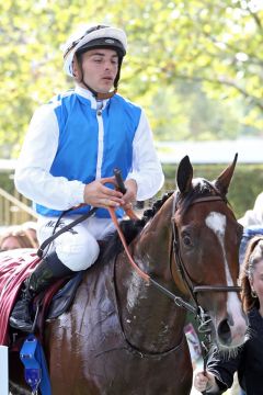 Double Major unter Maxime Guyon. www.galoppfoto.de - Sabine Brose