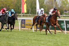 El Rubio startet mit MIchael Cadeddu mit einem Sieg in die Dreijährigen-Saison. ©galoppfoto - Sabine Brose