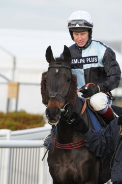 Fair Along mit Richard Johnson beim Hennessy Meeting 2012. Foto: John James Clark