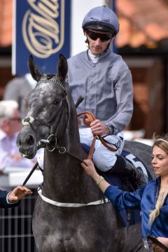 Fallen Angel unter Daniel Tudhope am Guineas-Tag in Newmarket. www.galoppfoto.de - JJ Clark