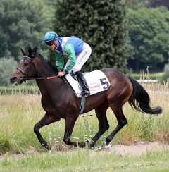 Flying Gina am 18.06.2017 in Düsseldorf - Foto: Dr. Jens Fuchs