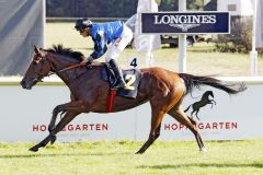 Die Soldier Hollow-Tochter war schon in ganz anderen Ligen unterwegs: Fosun siegt mit Martin Seidl in Hoppegarten. www.galoppfoto.de - Sabine Brose