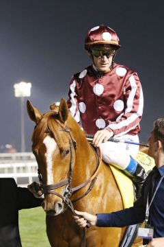 French Fifteen mit Olivier Peslier vor seinem letzten Start im Dubai Duty Free, wo er unplatziert blieb. www.galoppfoto.de - Frank Sorge