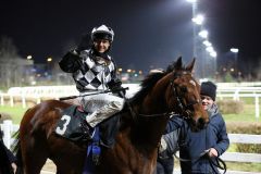 Gamgoom nach seinem Neusser Sieg am 11.01.2015 mit Andre Best im Sattel - zugleich der 2000. Sieg für Trainer Mario Hofer. Foto: Dr. Jens Fuchs