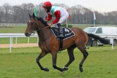 Gedöns mit Maxim Pecheur beim Aufgalopp zum Sauren Nachhaltigkeit-Rennen, in dem er Dritter wurde. ©galoppfoto - Sandra Scherning