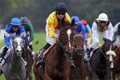 Gegen hochkararätige internationale Konkurrenz gewinnt die Auenquellerin Good Donna mit Jack Mitchell für Trainer Jens Hirschberger das hannoversche Gr. III-Rennen beim Saisonfinale. www.galoppfoto.de - Frank Sorge