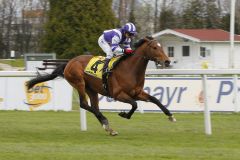 Gestüt Höny-Hofs Martillo-Sohn Proud Citizen gewinnt in München. www.turfstock.com