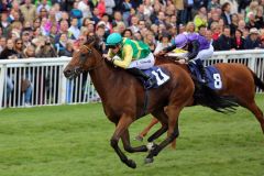 Goldbraid gewinnt mit Filip Minarik in Baden-Baden. Foto: Dr. Jens Fuchs