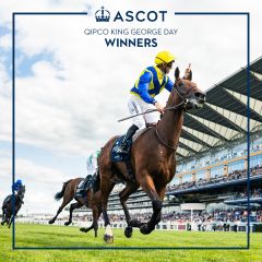 Goliath ist ohne Konkurrenz und gewinnt überlegen. Foto: courtesy by Ascot racecourse