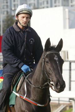 Guadalupe mit Janek Bougusz bei der Morgenarbeit in Hong Kong. ©galoppfoto - Frank Sorge