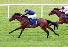 Henri Matisse sorgt für den 17. Sieg von Aidan O'Brien in den Futurity Stakes. Foto: courtesy by Coolmore