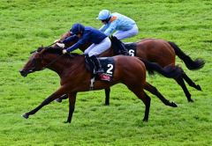 Henri Matisse sorgt für den 16. Sieg von Adan O'Brien in den Railway Stakes. Foto: courtesy by Coolmore