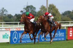 Erfolgreiches Debut: Incantator gewinnt mit Eduardo Pedroza gegen Areo. Foto Dr. Jens Fuchs