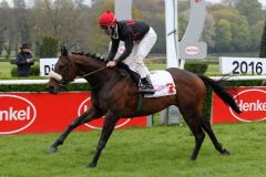 Iniesta siegt mit Timo Degel für Trainer Uwe Schwinn im FEGENTRI-Rennen Prix de Diadermine am 30.4.2016 in Düsseldorf (Foto: Dr. Jens Fuchs)