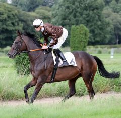 Invincible Squaw am 20.8.2017 in Düsseldorf - Foto: Dr. Jens Fuchs