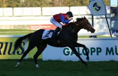 Erster Gr. I-Sieg und geglückte Revanche für den wegen Fiebers verpassten Start im Großen Preis von Baden: Ito gewinnt mit Filip Minarik sicher vor Prince Gibraltar und Fair Mountain. Foto: Dr. Jens Fuchs