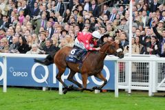 Maarek mit Jamie Spencer als Sieger in den Qipco Sprint Stakes. www.galoppfoto.de - Frank Sorge