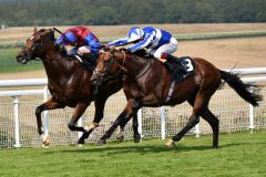 Jan Brueghel hält Bellum Justum knapp in Schach. Foto: Goodwood Racecourse