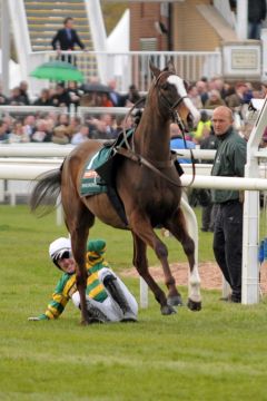 Jockey Anthony McCoy beim Sturz von Synchronised während des Aufgalopps. Foto: John James Clark