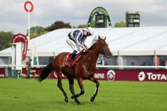 Karakontie im Führring vor dem Prix du Moulin de Longchamp. Foto: Dr. Jens Fuchs