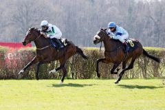 Karlgeorg kommt Start-Ziel zu einem letztlich ungefährdeten Sieg. www.galoppfoto.de - Sabine Brose