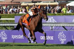 Little Mike gewinnt mit Ramon Dominguez den Breeders' Cup Turf. www.galoppfoto.de - Petr Guth