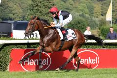 Fall gelöst: Ein bedeutend aussehender Sieg von Maigret unter Andrasch Starke. Foto: Dr. Jens Fuchs