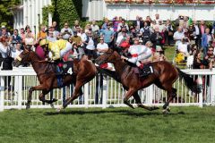 Manolas gewinnt unter Andrasch Starke in gutem Stil. www.galoppfoto.de