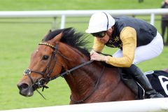 Marshmallow mit Bauyrzhan Murzabayev gewinnt. ©galoppfoto - Frank Sorge