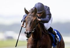 Matrika kommt nur eine Woche nach Royal Ascot zu ihrem ersten Gruppesieg. Foto: courtesy by Coolmore