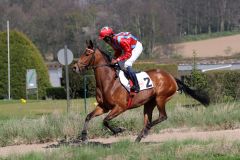 Megera beim Aufgalopp zum Düsseldorfer Stutenrennen, in dem sie Zweite wurde, mit Eduardo Pedroza. Foto: Dr. Jens Fuchs