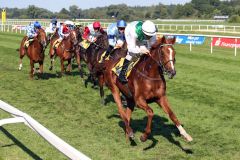 Im richtigen Derby konnte er nicht laufen, im "kleinen" Derby, dem Preis der BBAG-Jährlingsauktion - Auktionsrennen, konnte Mendocino mit René Piechulek seine Klasse unter Beweis stellen. www.galoppfoto.de - Sabine Brose