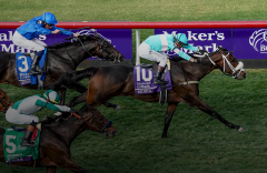 Moira gewinnt und wird zwei Tage später teuer verkauft. Foto: Breeders' Cup