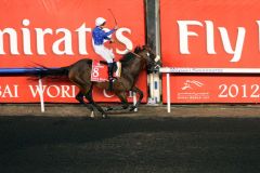 Monterosso mit Mickael Barzalona  - die Sieger im Dubai World Cup. www.galoppfoto.de