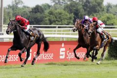 Fernziel St. Leger: Monteverdi gewinnt schon einmal in Dortmund. www.galoppfoto.de - Stephanie Gruttmann