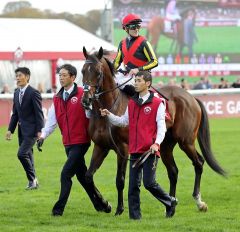 Nagano Gold und seine Connections vor dem Arc am 6.10.2019 in Longchamp - Foto: Dr. Jens Fuchs