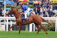 Nayef Road vergangenes Jahr in Royal Ascot. www.galoppfoto.de