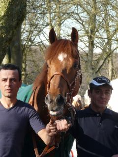 Big Hunter, der NRZ-Galopper des Jahres 2011. Foto Suhr