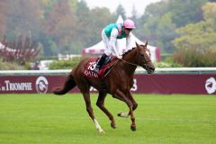 Der französische Derbysieger New Bay belegte Platz drei. Foto Dr. Jens Fuchs