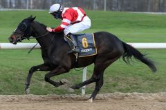 Night Rider gewinnt Sean Byrne am 07.03.2021 in Dortmund. ©galoppfoto - Stephanie Gruttmann