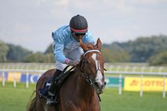 Im Coolmore Stud Baden-Baden Cup klappt es bei Nina's Lob mit Eduardo Pedroza mit dem Black Type-Treffer auf Listenparkett. ©galoppfoto - Sarah Bauer