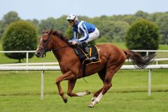 Noor Al Hawa am 26.06.2016 in Dortmund (Foto: Dr. Jens Fuchs)